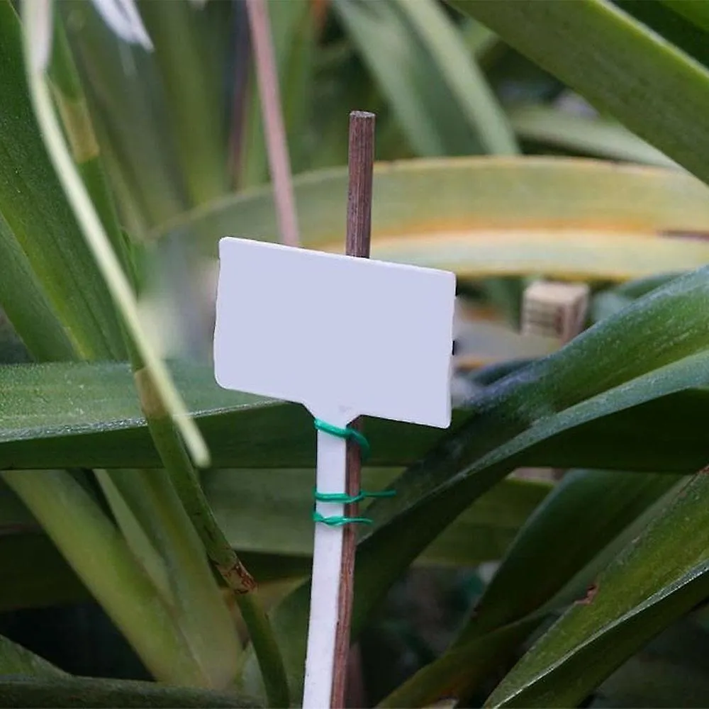 Plastic Plant Markers 10 Pack